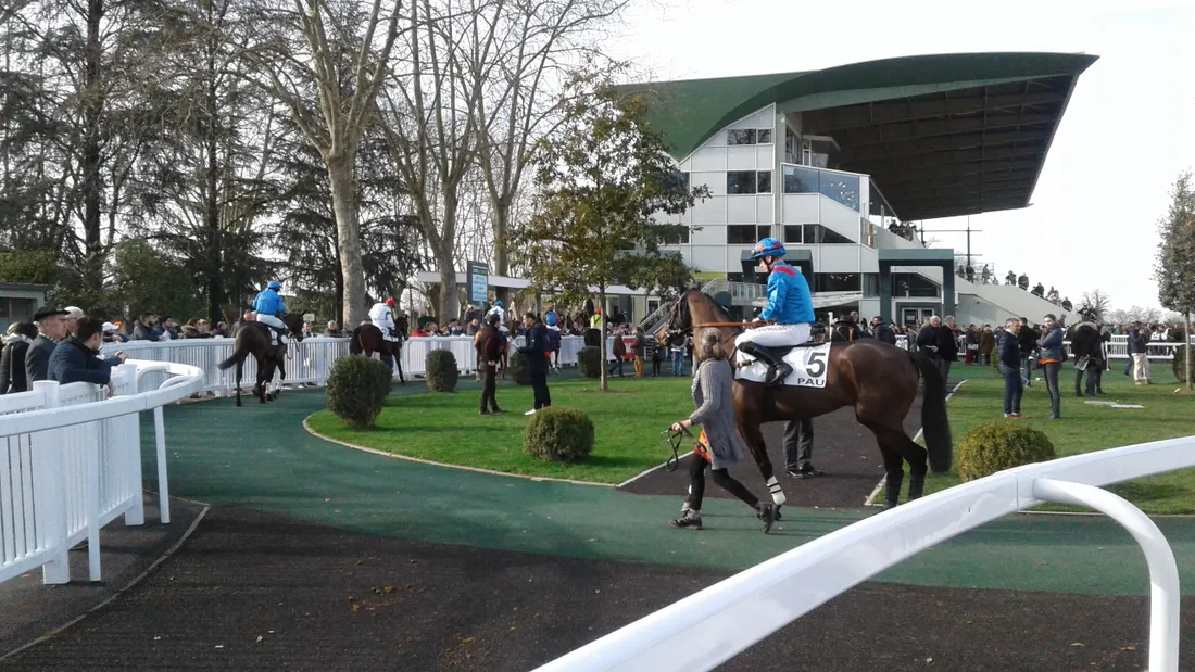 Hippodrome Pau-1